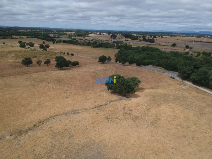 Terreno para Venda em Lardosa Foto 1