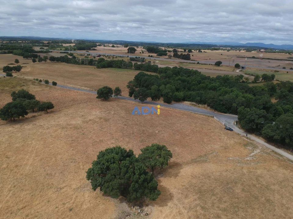 Terreno para Venda em Lardosa Foto 3