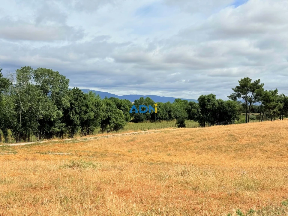 Terreno para Venda em Lardosa Foto 10