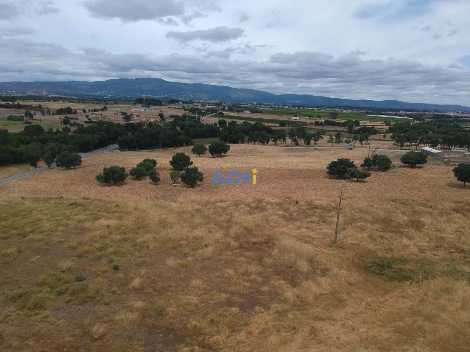 Terreno para Venda em Lardosa Foto 4