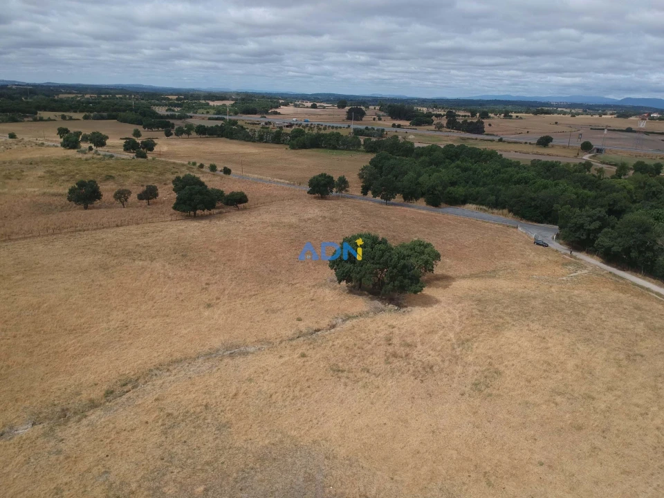 Terreno para Venda em Lardosa Foto 1