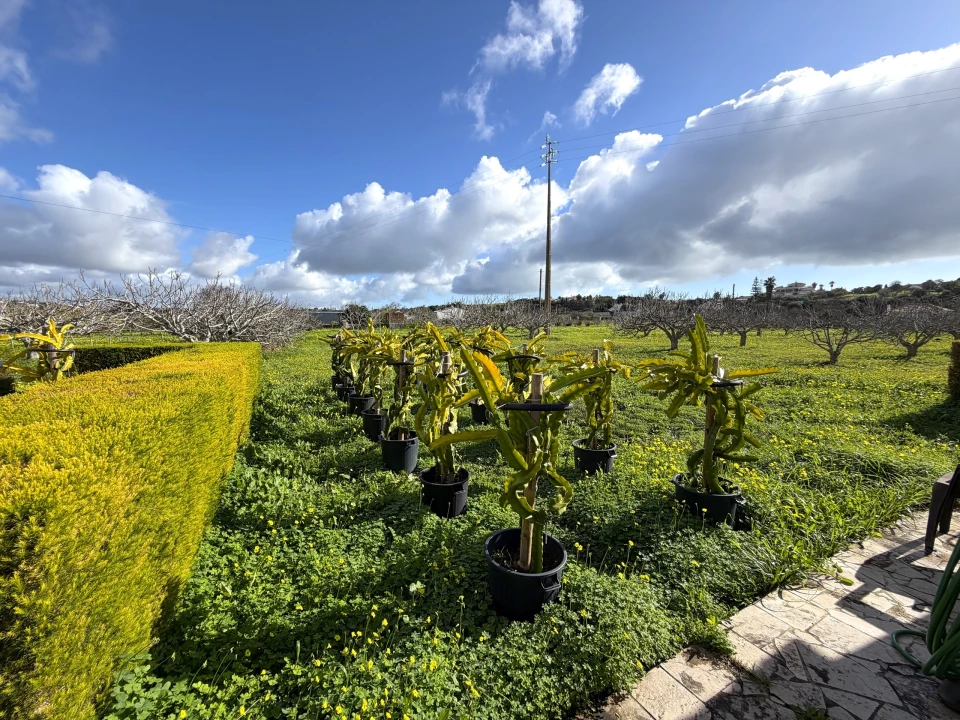 Moradia T5 para Venda em Lagos (São Sebastião e Santa Maria) Foto 34