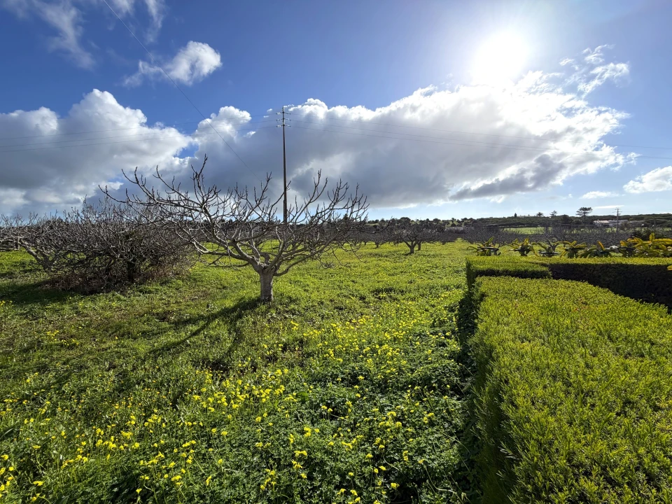 Moradia T5 para Venda em Lagos (São Sebastião e Santa Maria) Foto 35