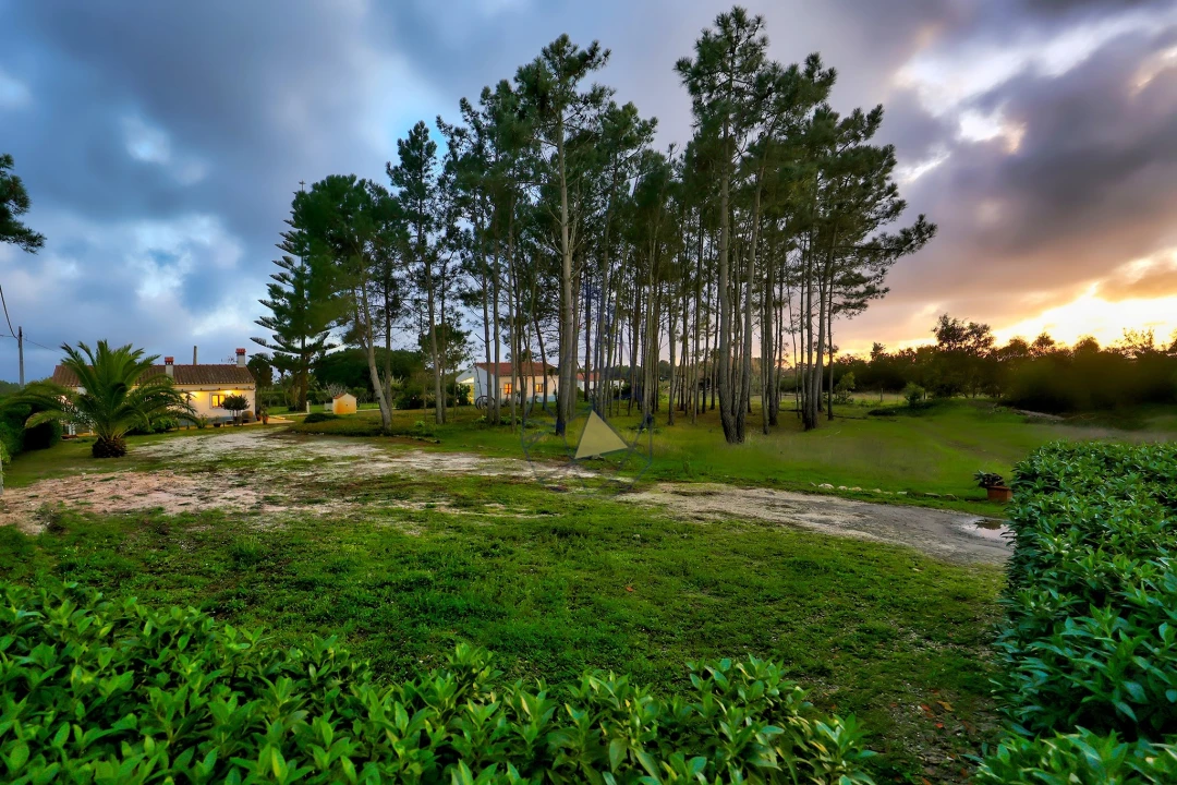 Quinta T3 para Venda em Rogil Foto 53