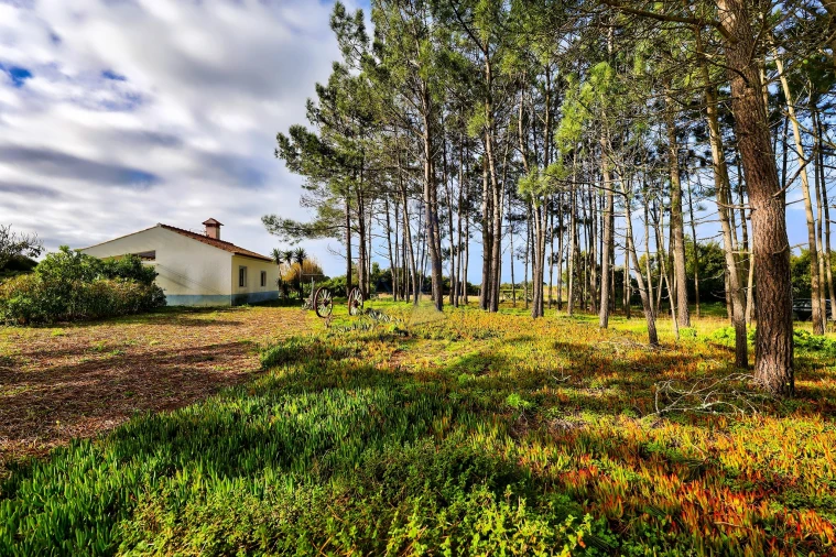 Quinta T3 para Venda em Rogil Foto 43