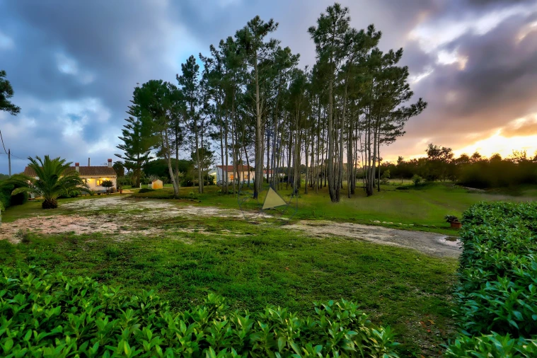 Quinta T3 para Venda em Rogil Foto 53