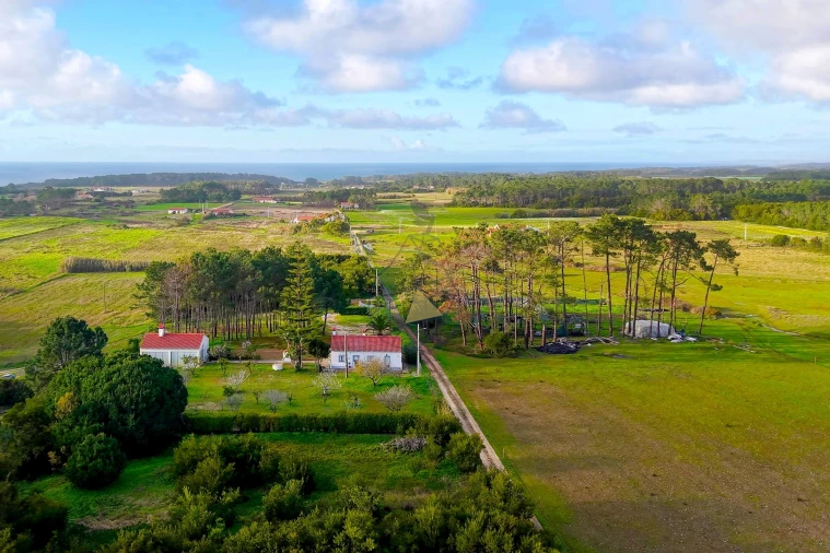 Quinta T3 para Venda em Rogil Foto 55