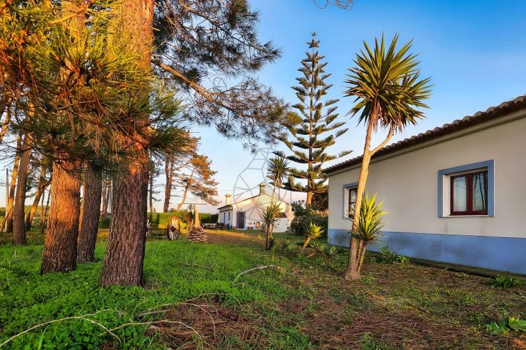 Quinta T3 para Venda em Rogil Foto 21