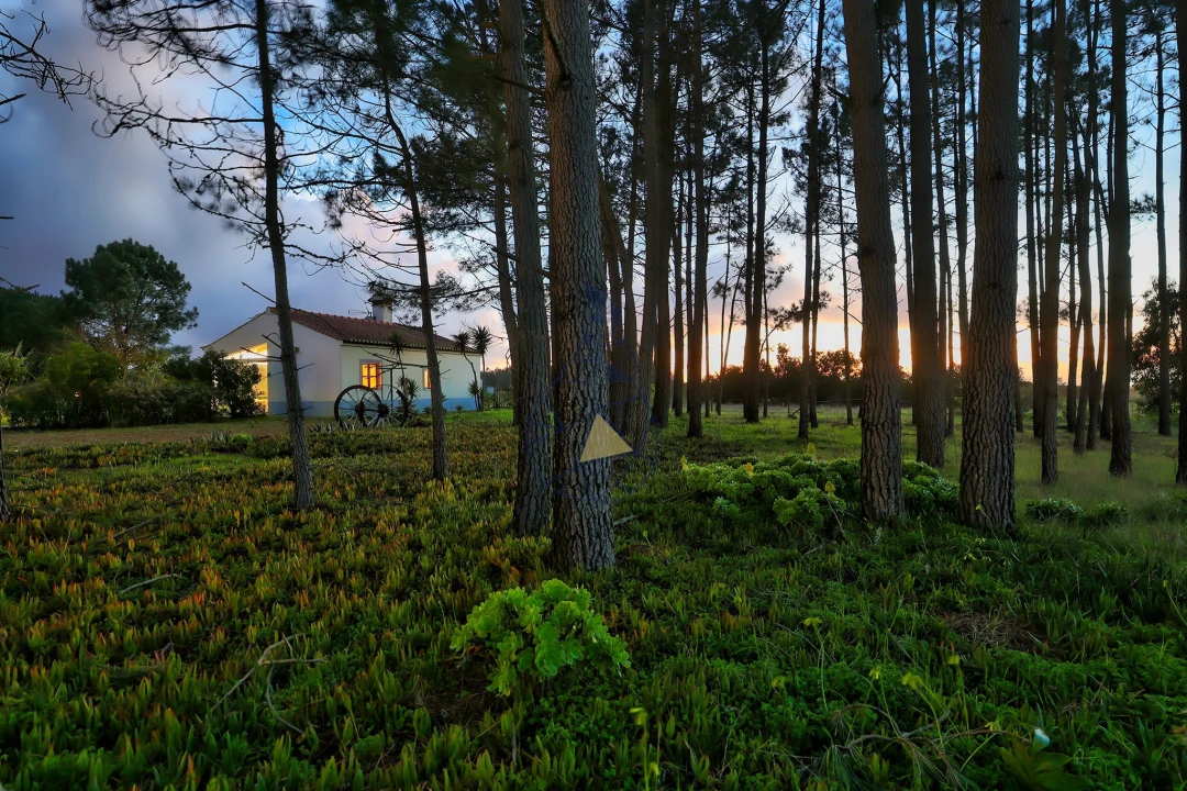 Quinta T3 para Venda em Rogil Foto 50