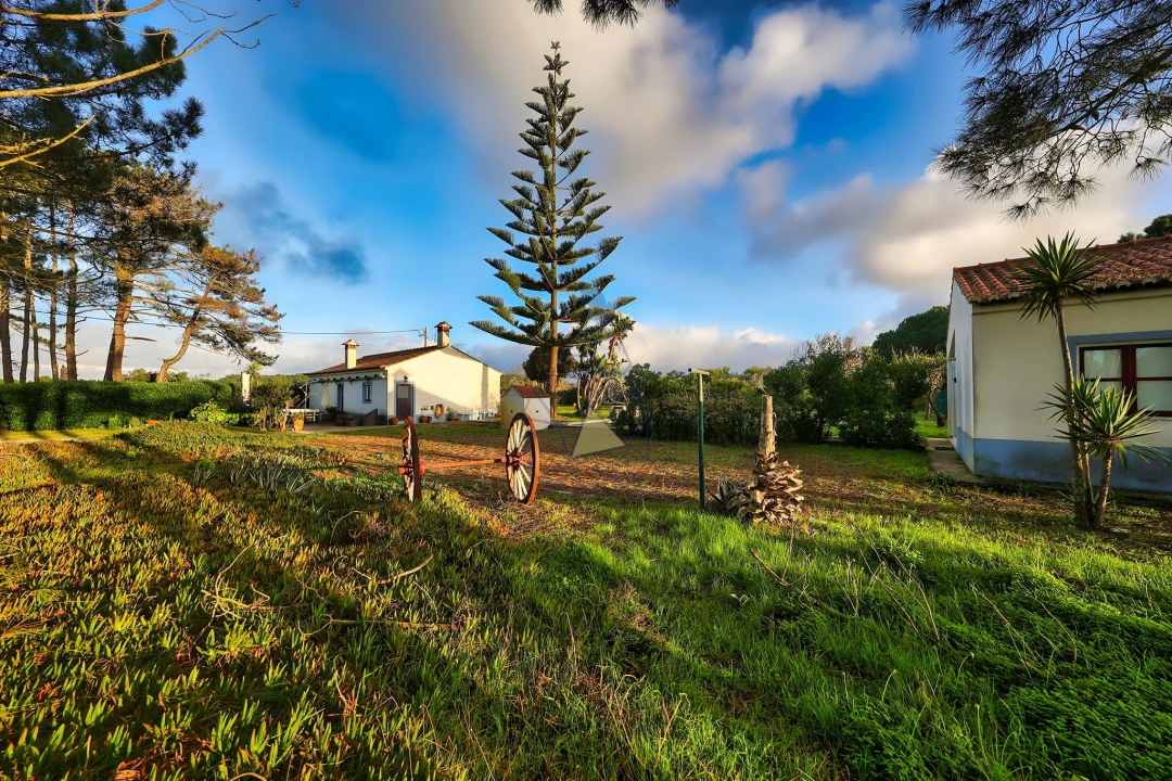 Quinta T3 para Venda em Rogil Foto 45