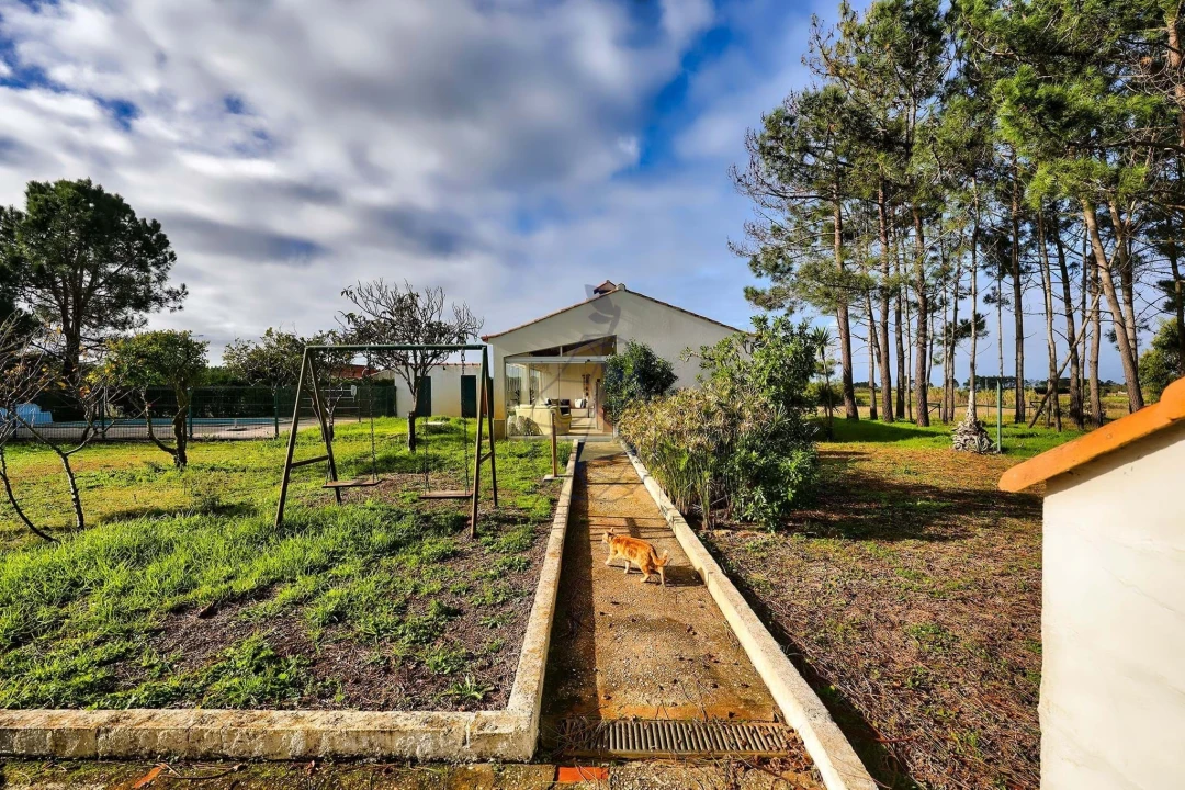 Quinta T3 para Venda em Rogil Foto 10