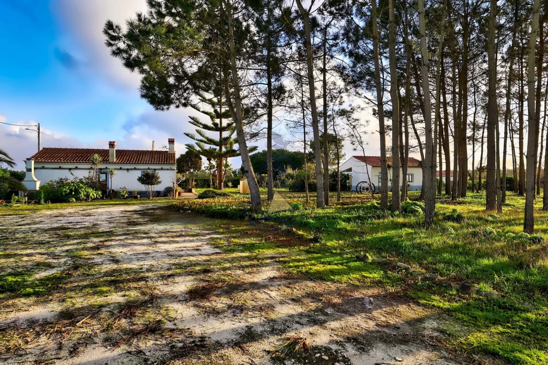 Quinta T3 para Venda em Rogil Foto 45