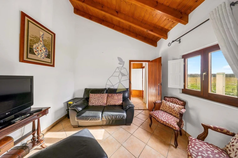 Quinta T3 para Venda em Rogil Foto 35