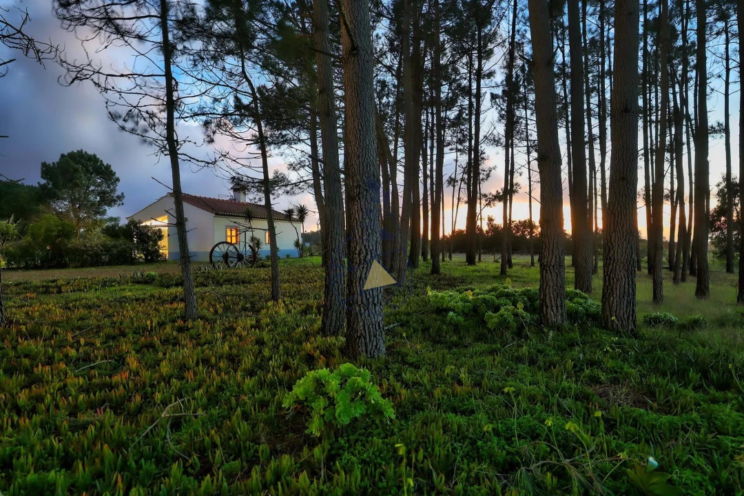 Quinta T3 para Venda em Rogil Foto 52