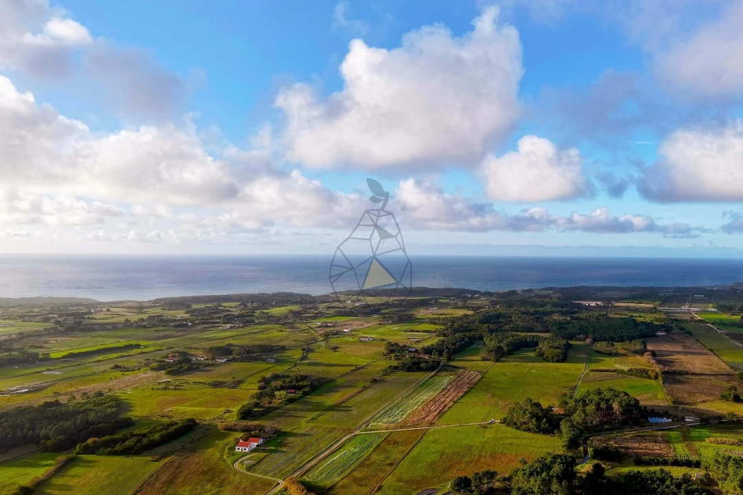 Quinta T3 para Venda em Rogil Foto 43