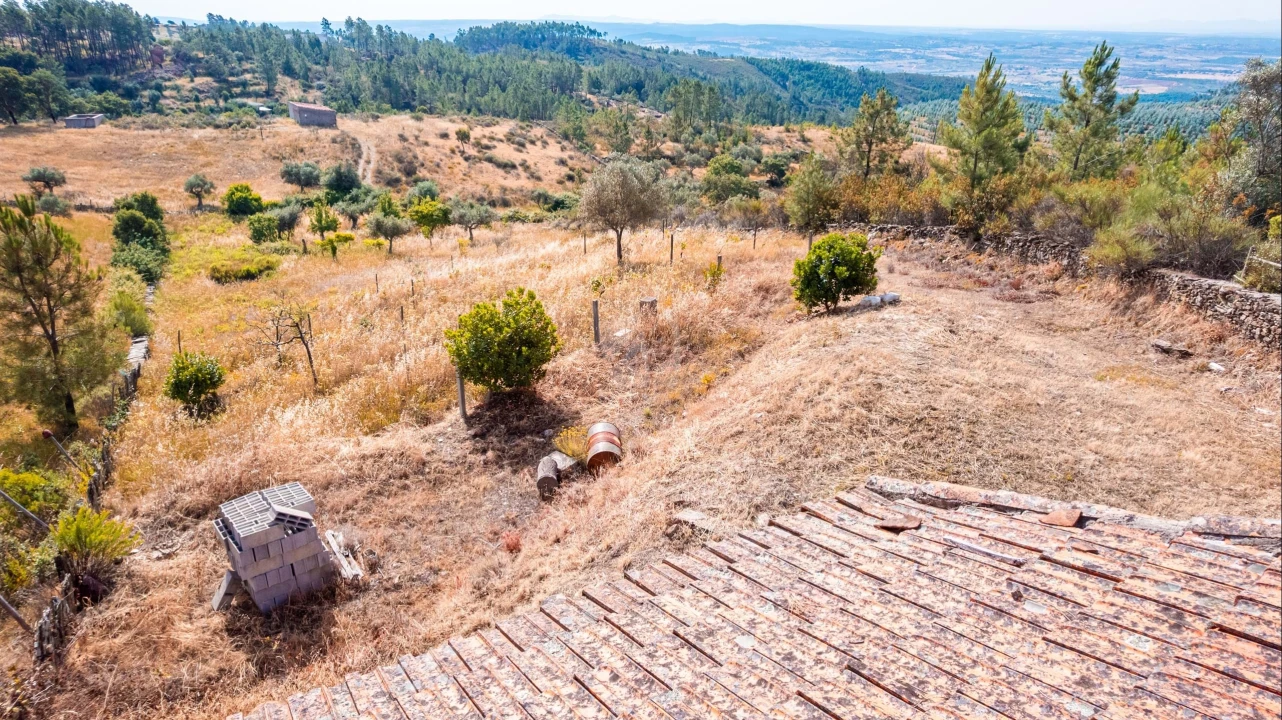 Terreno Agricola ou Rústico para Venda em Perais Foto 30