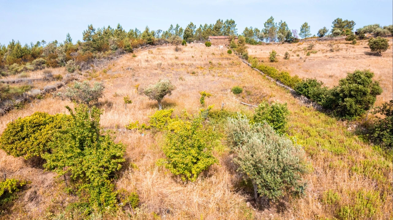 Terreno Agricola ou Rústico para Venda em Perais Foto 31