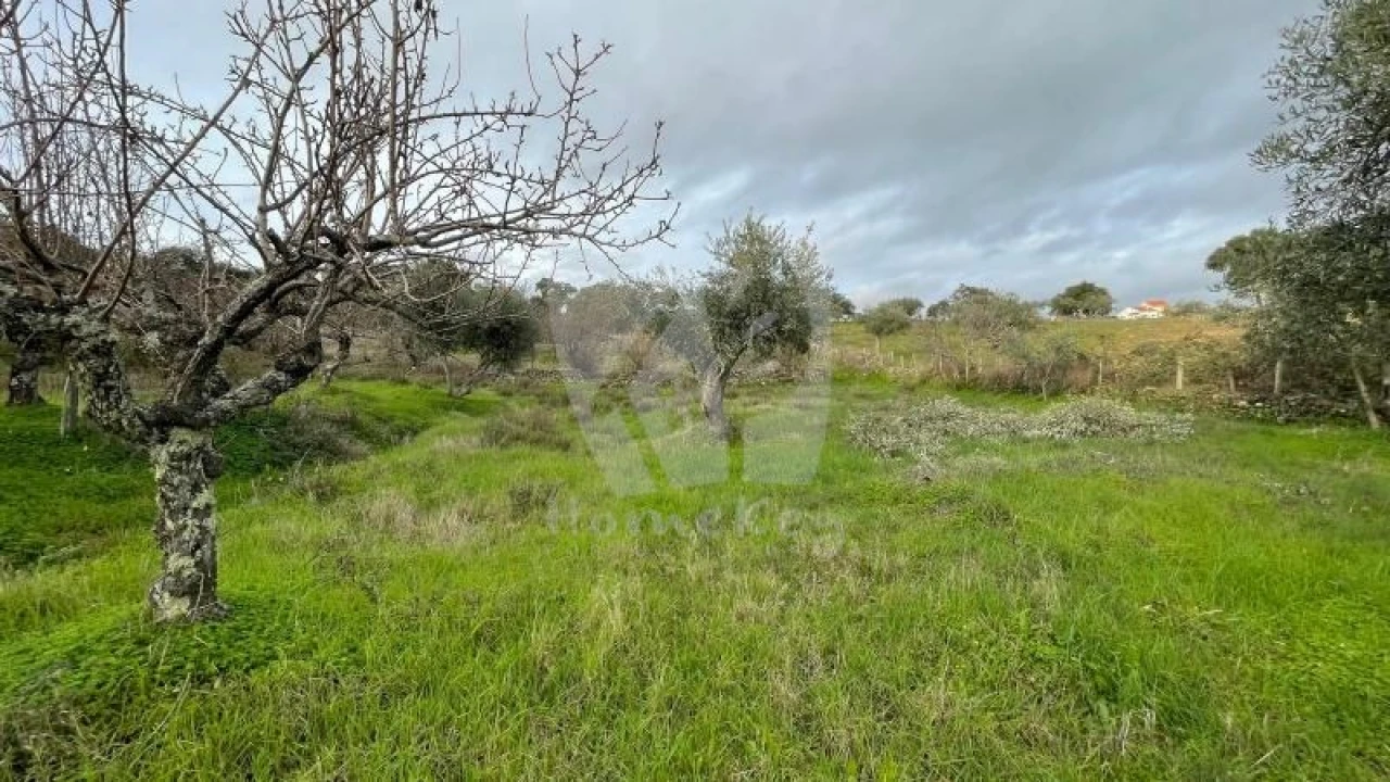 Terreno Agricola ou Rústico para Venda em Perais Foto 23