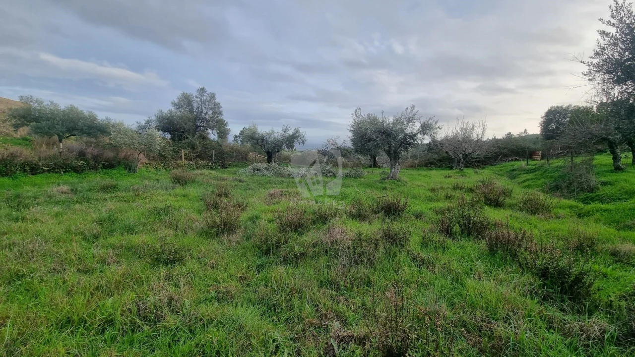 Terreno Agricola ou Rústico para Venda em Perais Foto 12
