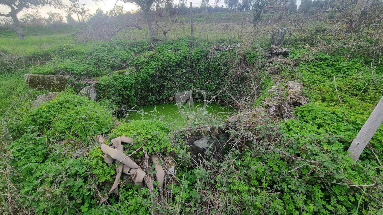 Terreno Agricola ou Rústico para Venda em Perais Foto 16