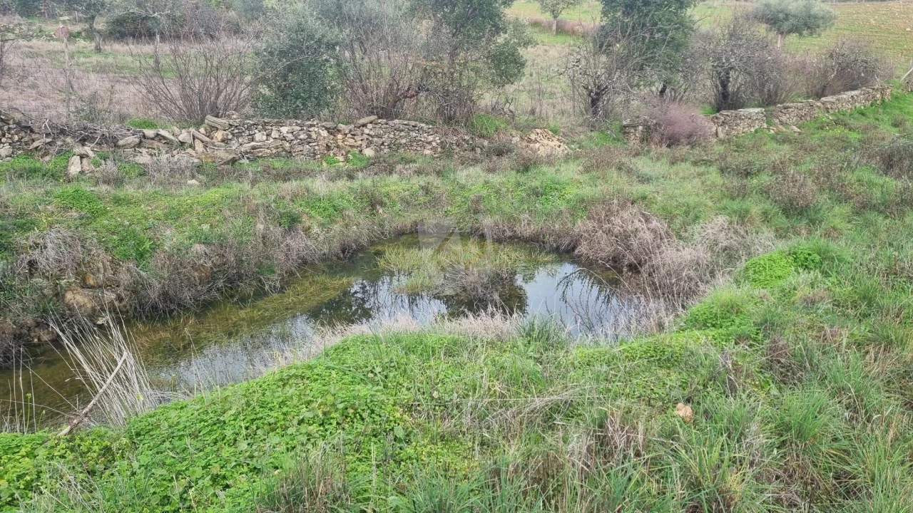 Terreno Agricola ou Rústico para Venda em Perais Foto 19