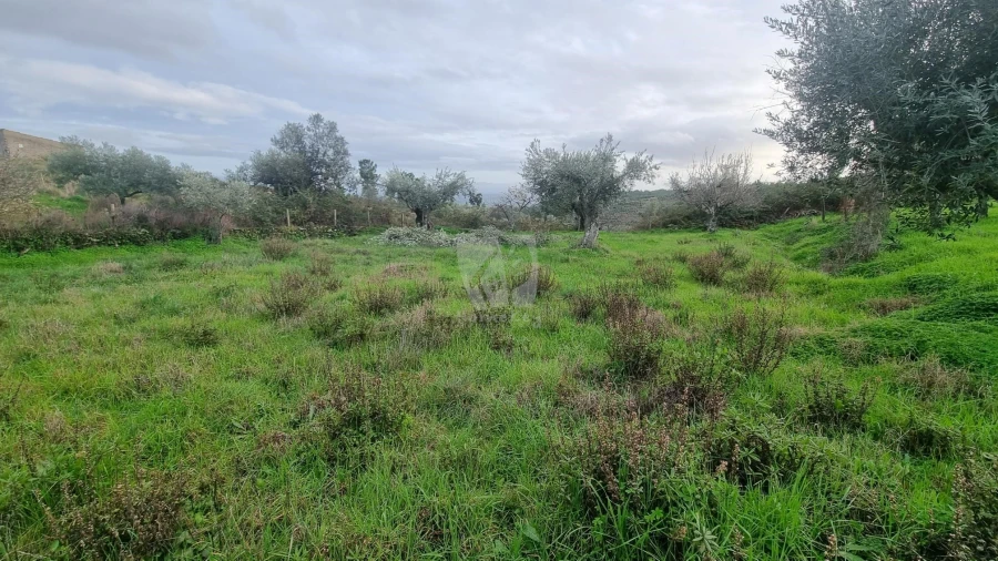 Terreno Agricola ou Rústico para Venda em Perais Foto 11