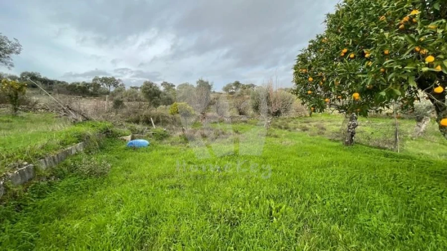 Terreno Agricola ou Rústico para Venda em Perais Foto 25