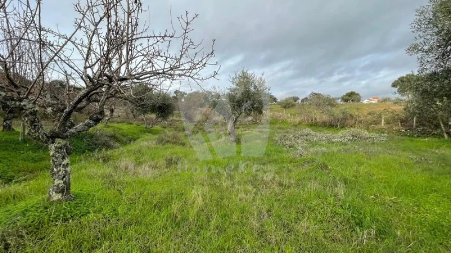 Terreno Agricola ou Rústico para Venda em Perais Foto 23