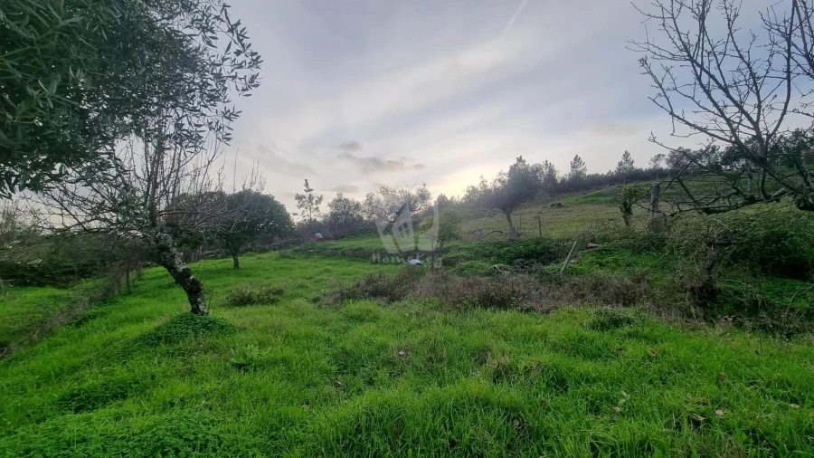 Terreno Agricola ou Rústico para Venda em Perais Foto 13