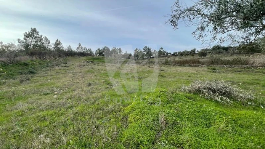 Terreno Agricola ou Rústico para Venda em Perais Foto 26