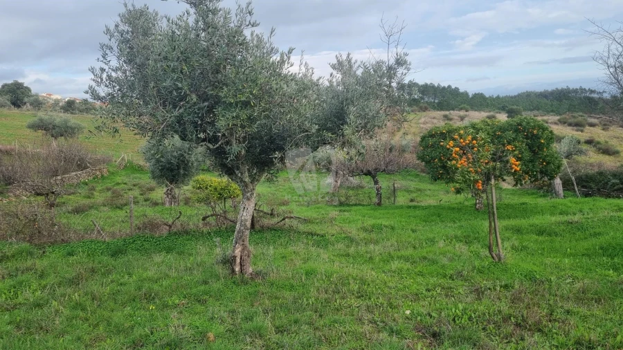 Terreno Agricola ou Rústico para Venda em Perais Foto 18