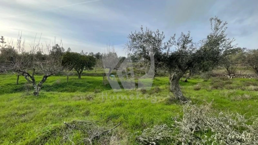 Terreno Agricola ou Rústico para Venda em Perais Foto 24
