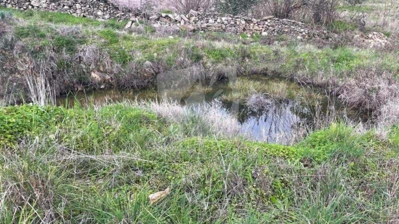 Terreno Agricola ou Rústico para Venda em Perais Foto 22