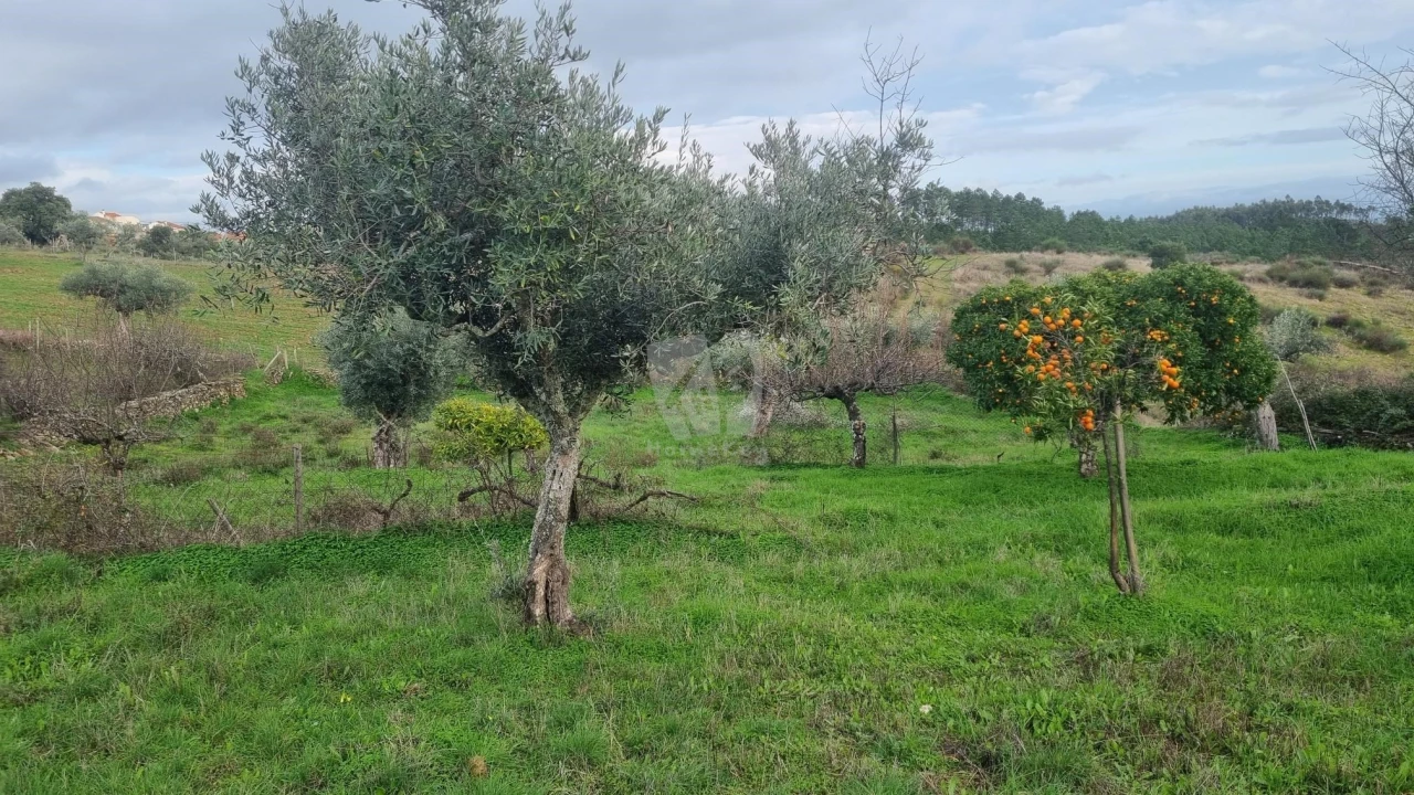 Terreno Agricola ou Rústico para Venda em Perais Foto 18