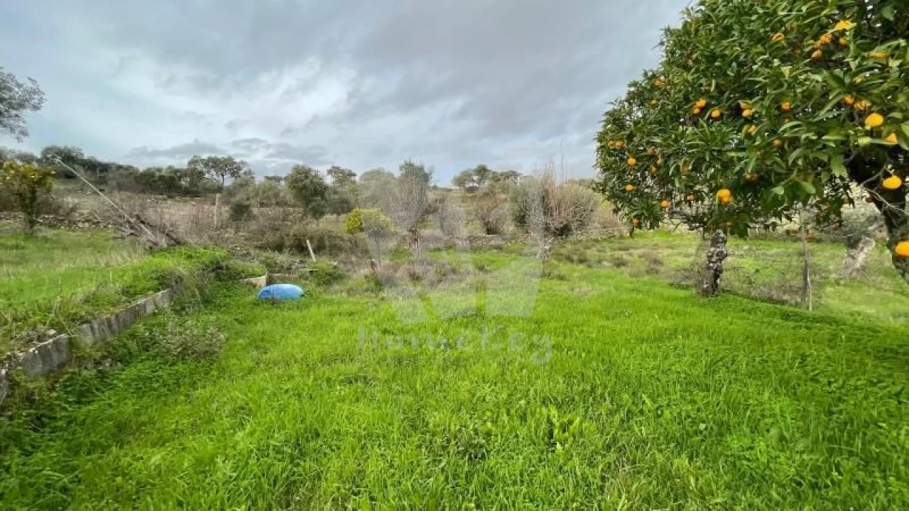 Terreno Agricola ou Rústico para Venda em Perais Foto 21