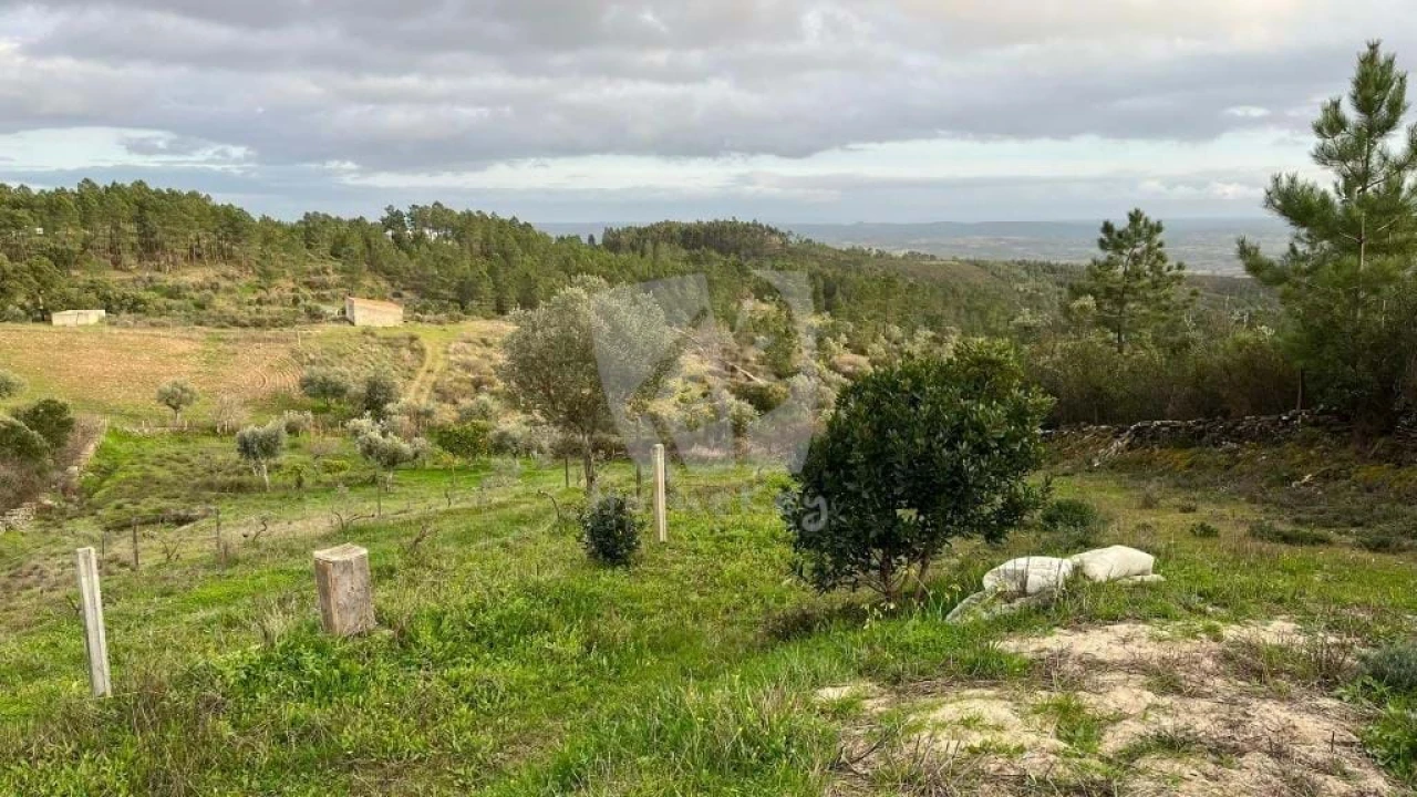 Terreno Agricola ou Rústico para Venda em Perais Foto 10