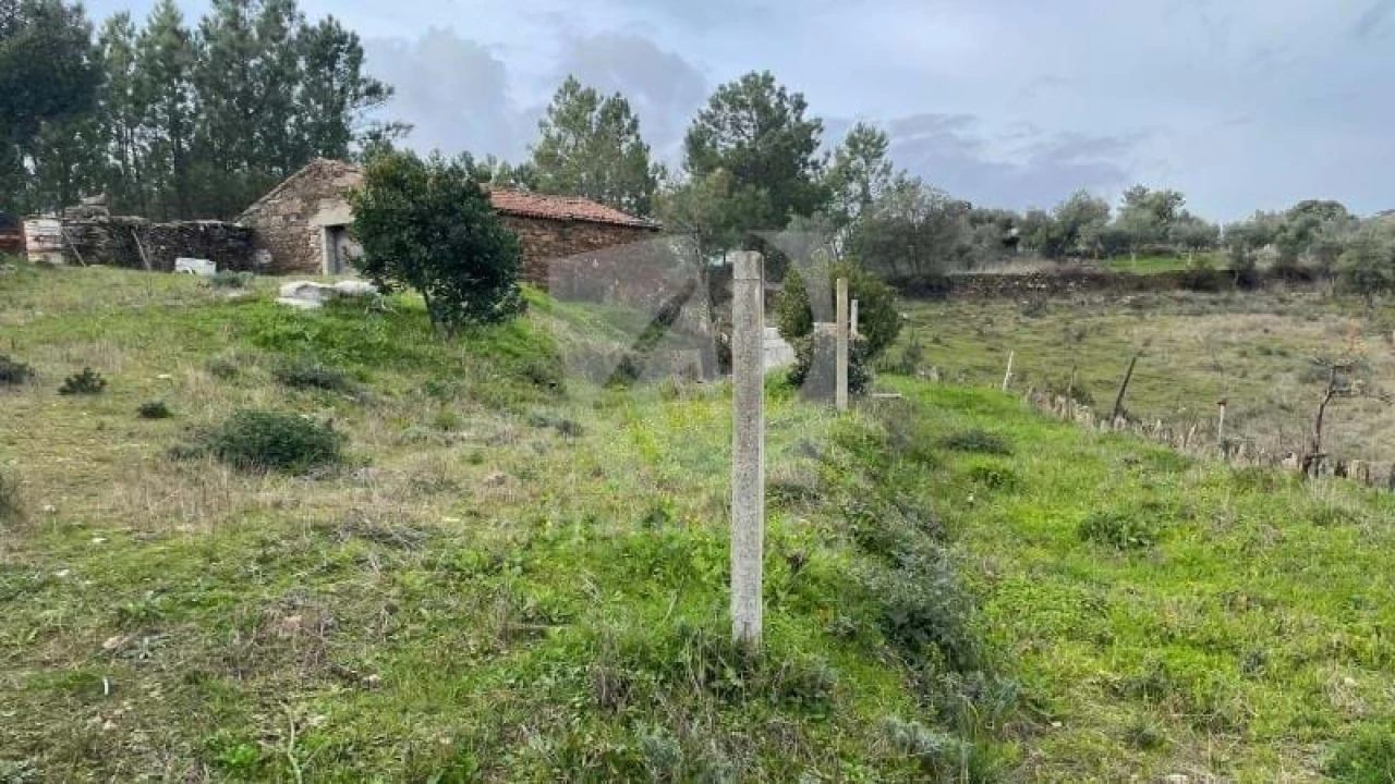 Terreno Agricola ou Rústico para Venda em Perais Foto 9