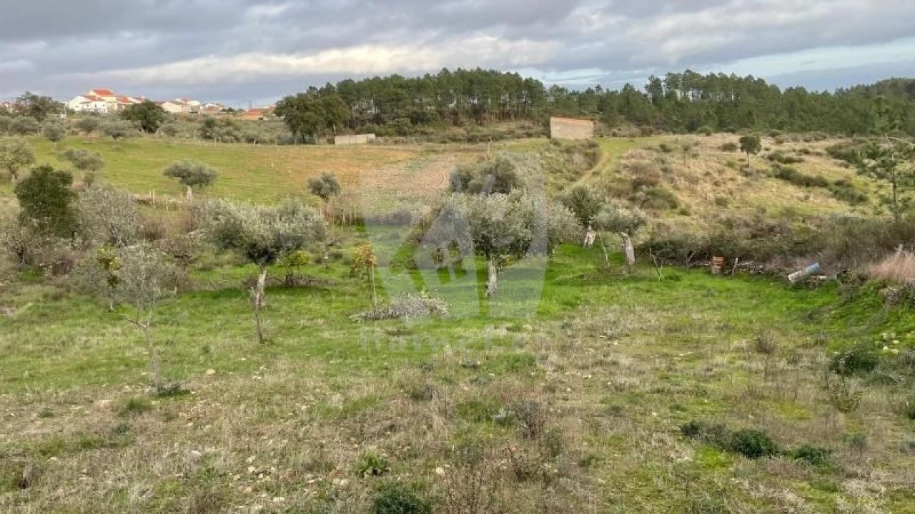 Terreno Agricola ou Rústico para Venda em Perais Foto 27