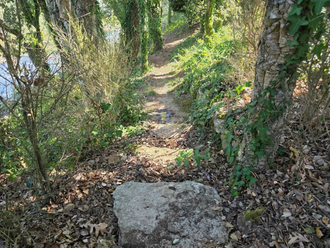 Quinta T4 para Venda em Venda do Pinheiro e Santo Estêvão das Galés Foto 12
