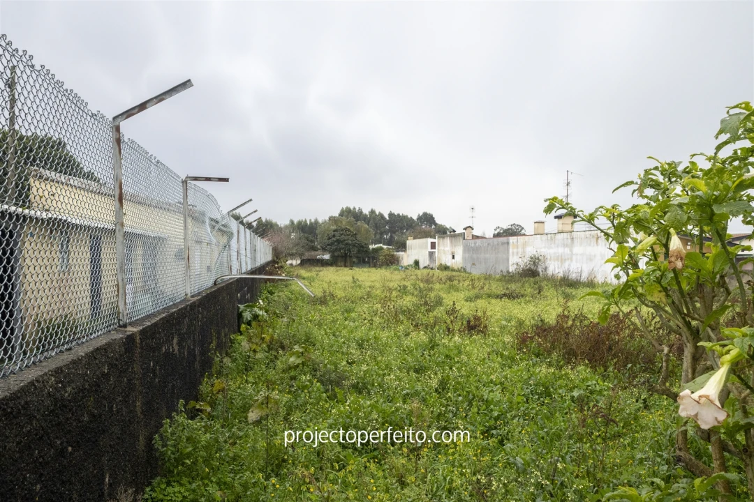 Terreno para Venda em Paramos Foto 7