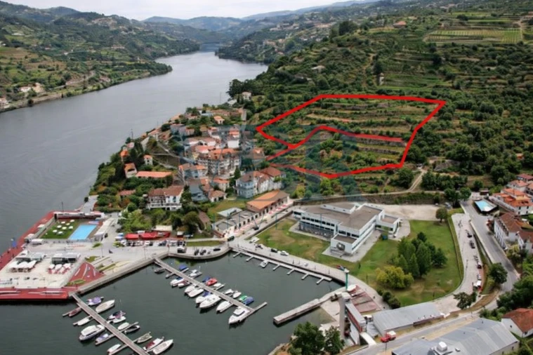 Terreno para Venda em Anreade e São Romão de Aregos Foto 2