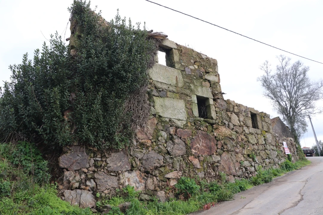 Moradia T0 para Venda em Lustosa e Barrosas (Santo Estêvão) Foto 1