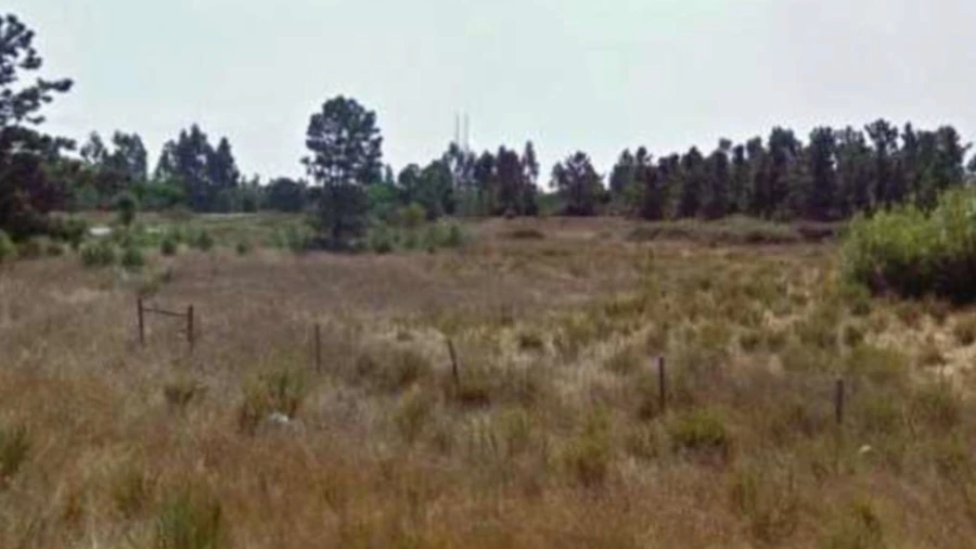 Terreno Agricola ou Rústico para Venda em Queiriga