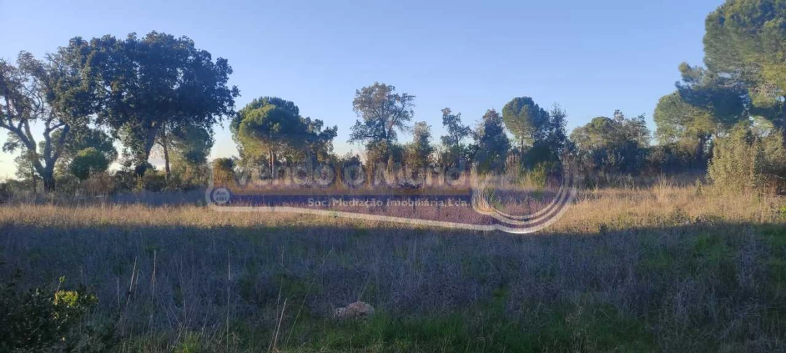 Terreno para Venda em Mora Foto 3