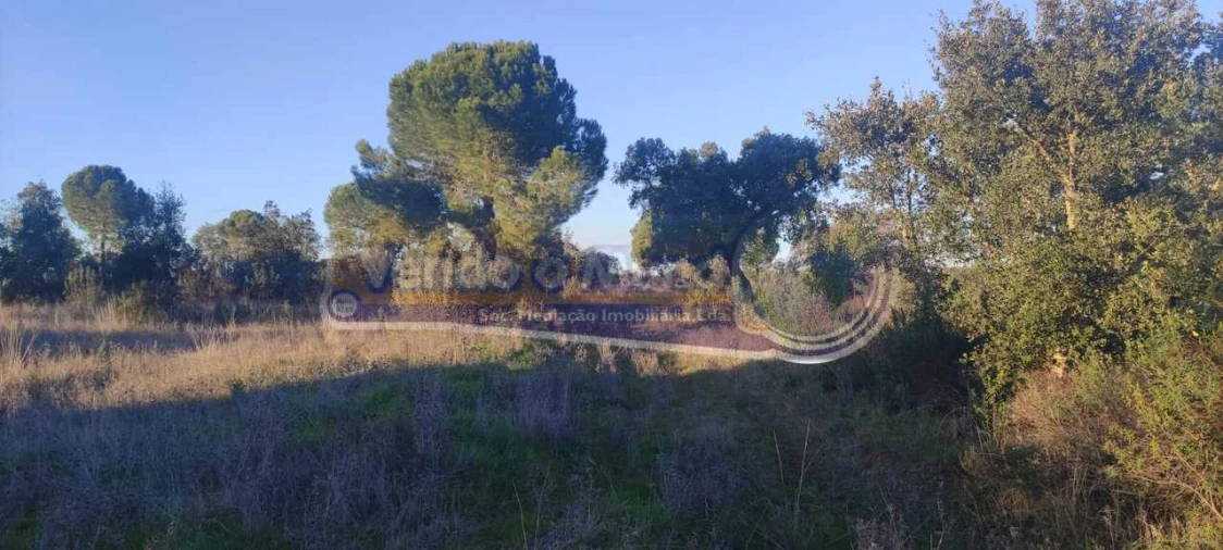 Terreno para Venda em Mora Foto 1