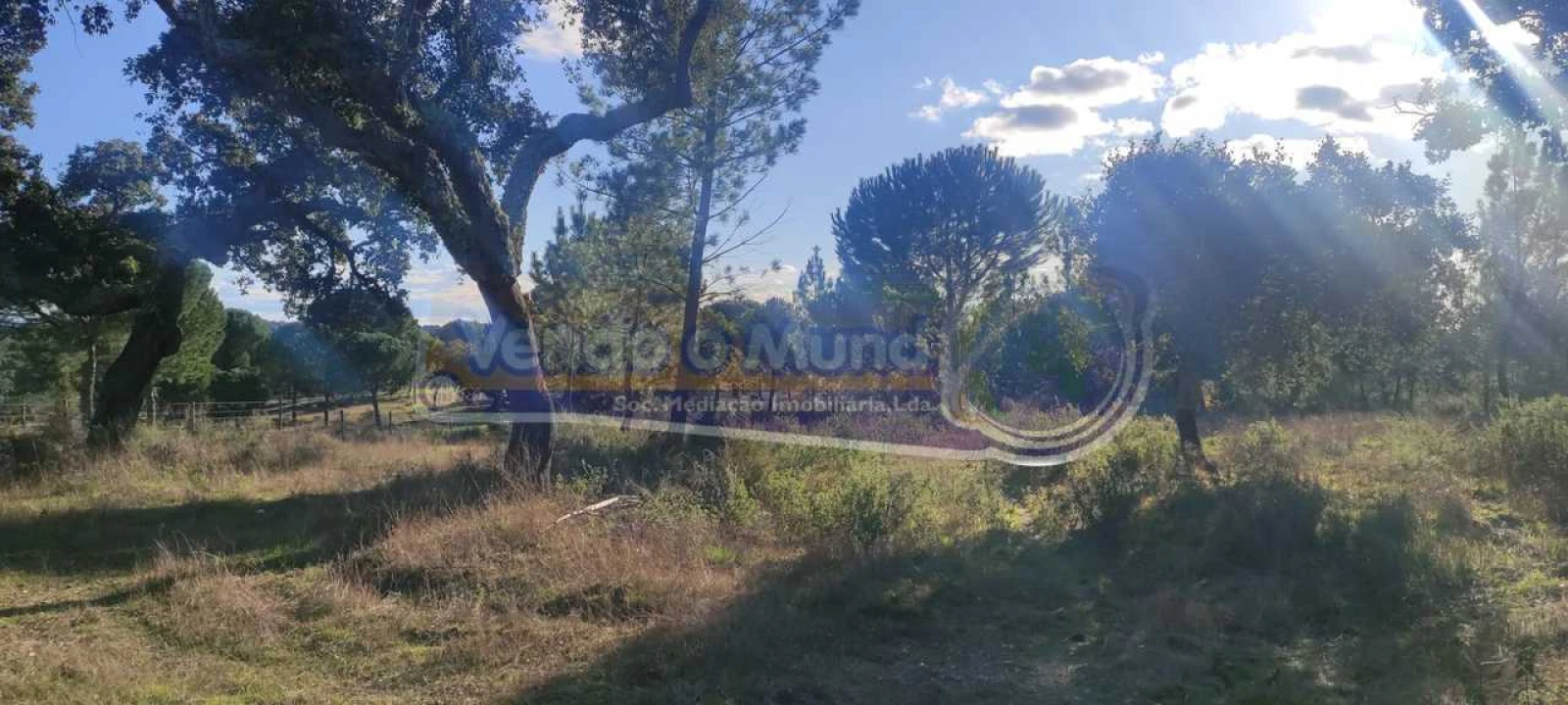 Terreno para Venda em Mora Foto 2