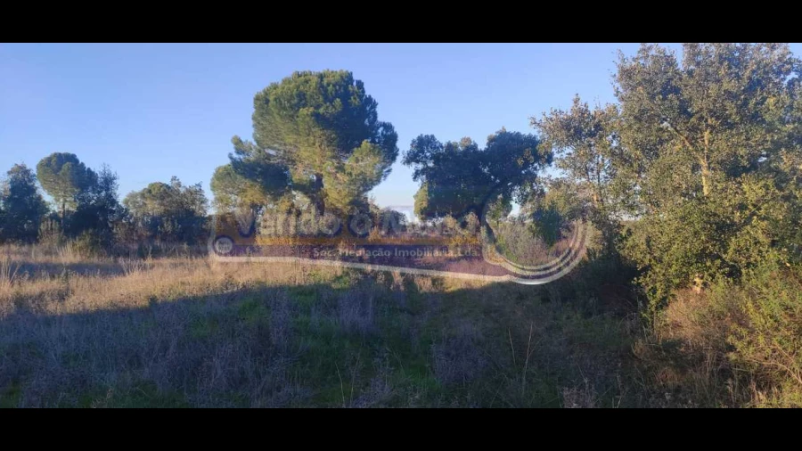 Terreno para Venda em Mora