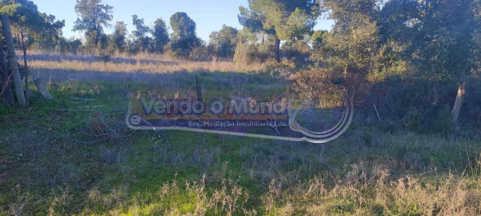 Terreno para Venda em Mora Foto 5