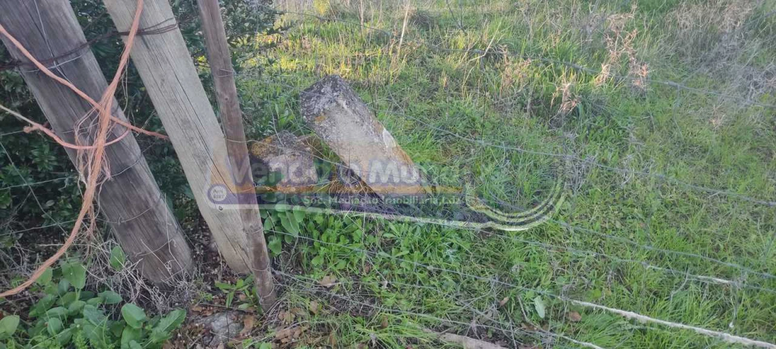 Terreno para Venda em Mora Foto 4