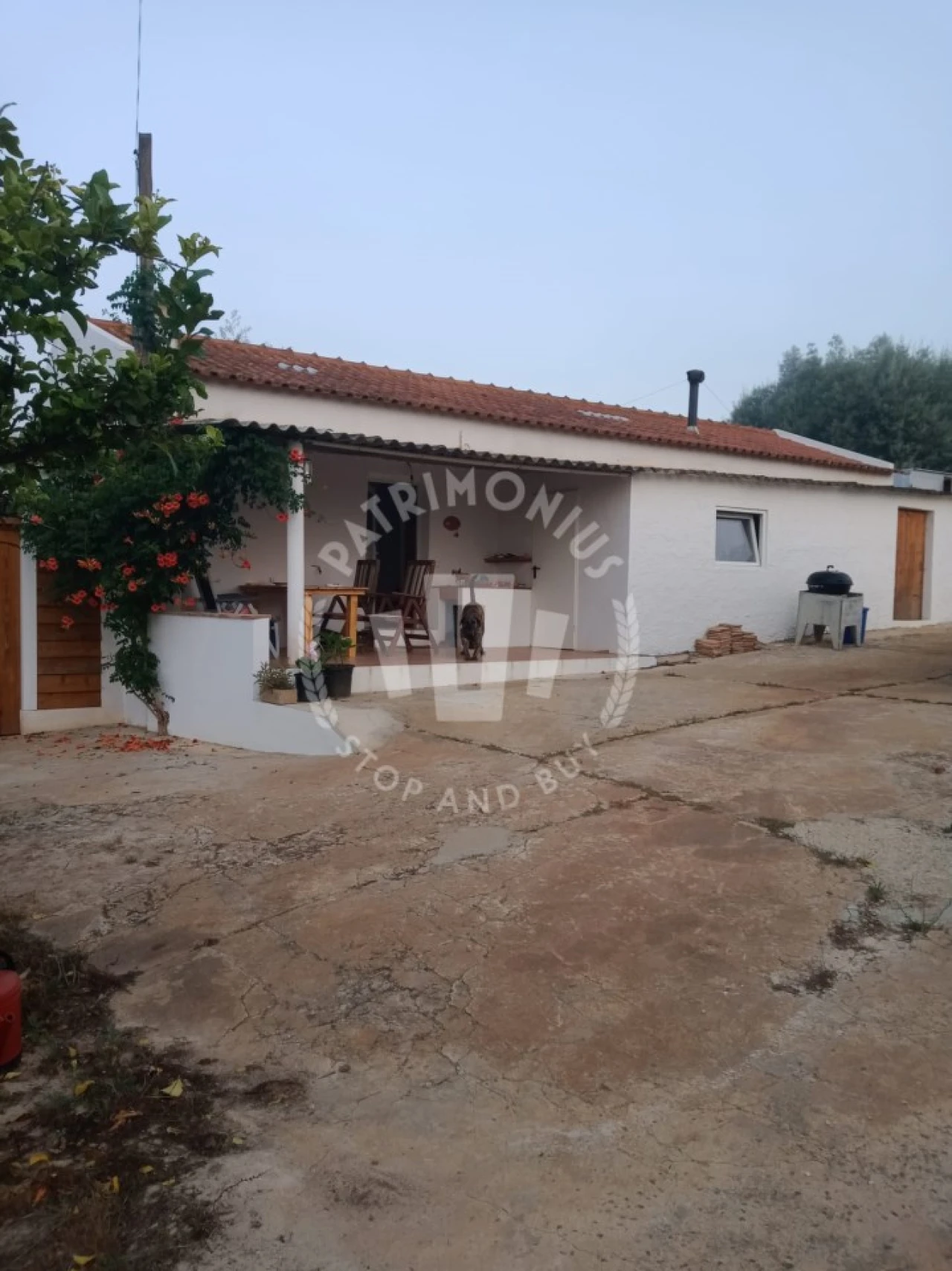 Quinta T3 para Venda em Cercal Foto 2